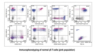Immunophenotyping of normal γδ T-cells (pink population)
 