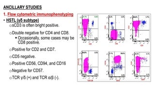 ANCILLARY STUDIES
1. Flow cytometric immunophenotyping
• HSTL (γδ subtype)
osCD3 is often bright positive.
oDouble negative for CD4 and CD8.
§ Occasionally, some cases may be
CD8 positive.
oPositive for CD2 and CD7.
oCD5 negative.
oPositive CD56, CD94, and CD16
oNegative for CD57.
oTCR γ/δ (+) and TCR α/β (-).
 