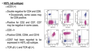 • HSTL (αβ subtype)
osCD3 (+)
oDouble negative for CD4 and CD8.
§ Occasionally, some cases may
be CD8 positive.
oPositive for CD2 and CD7. CD7
may be negative in some cases.
oCD5 -/+
oPositive CD56, CD94, and CD16
oCD57 had been reported to be
expressed in HSTL α/β subtype.
oTCR γδ (−) and TCR αβ (+).
 