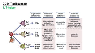 CD4+ T-cell subsets
1. T-helper
 