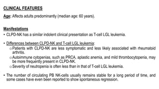 CLINICAL FEATURES
Age: Affects adults predominantly (median age: 60 years).
Manifestations
• CLPD-NK has a similar indolent clinical presentation as T-cell LGL leukemia.
• Differences between CLPD-NK and T-cell LGL leukemia:
oPatients with CLPD-NK are less symptomatic and less likely associated with rheumatoid
arthritis.
oAutoimmune cytopenias, such as PRCA, aplastic anemia, and mild thrombocytopenia, may
be more frequently present in CLPD-NK.
oSeverity of neutropenia is often less than in that of T-cell LGL leukemia.
• The number of circulating PB NK-cells usually remains stable for a long period of time, and
some cases have even been reported to show spontaneous regression.
 