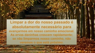 Limpar a dor do nosso passado é
absolutamente necessário para
avançarmos em nosso caminho emocional.
As ervas daninhas crescem rapidamente;
se não limparmos nosso caminho, não
veremos o que está próximo.
 