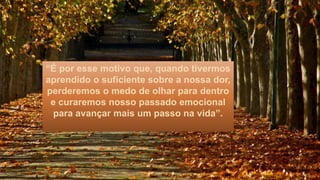 “É por esse motivo que, quando tivermos
aprendido o suficiente sobre a nossa dor,
perderemos o medo de olhar para dentro
e curaremos nosso passado emocional
para avançar mais um passo na vida”.
 