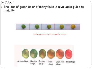 Maturity indices of fruits and vegetables | PPTX