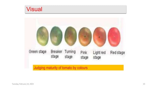 Maturity Indices Of Fruits And Vegetables – MHWJLJ