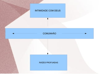 INTIMIDADE COM DEUS




      COMUNHÃO




   RAÍZES PROFUNDAS
 