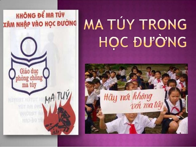 Nghị luận về tệ nạn xã hội ma túy