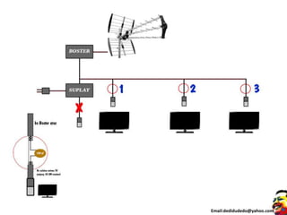 Email:dedidudedo@yahoo.com
 