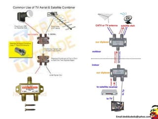 Email:dedidudedo@yahoo.com
 