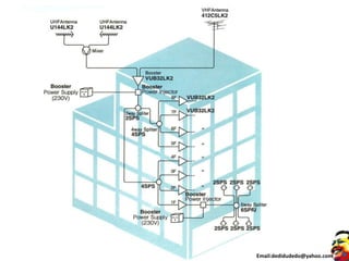 Email:dedidudedo@yahoo.com
 