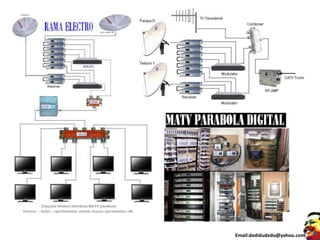 Email:dedidudedo@yahoo.com
 