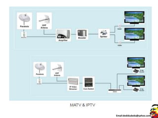 Email:dedidudedo@yahoo.com
 