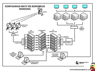 Email:dedidudedo@yahoo.com
 