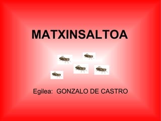 MATXINSALTOA



Egilea: GONZALO DE CASTRO
 
