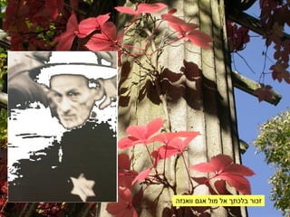 זכור בלכתך אל מול אגם וואנזה 