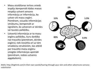 Attēls: http://bigthink.com/in-their-own-words/hearing-through-your-skin-and-other-adventures-sensory-
substitution
83% 3.5%
1.5%
1%
11%
• Maņu aizstāšanas ierīces sniedz
iespēju kompensēt kādas maņas
nespēju uztvert sensoro
informāciju ar informāciju, ko
uztver citi maņu orgāni.
Piemēram, vizualās informācijas
iztrūkumu, kompensēt ar
signāliem, ko uztveram ar dzirdes
vai taustes palīdzību.
• Uztvertā informācija ar to maņu
orgānu palīdzību, kuru darbība
nav traucēta (piemēram, dzirdes
orgāns), tiek nosūtīta arī uz tām
smadzeņu struktūrām, kas atbild
par traucēto maņu orgānu
sniegtās informācijas apstrādi
(piemēram, redzes uztveres
apgabaliem);
 