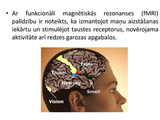 • Ar funkcionāli magnētiskās rezonanses (fMRI)
palīdzību ir noteikts, ka izmantojot maņu aizstāšanas
iekārtu un stimulējot taustes receptorus, novērojama
aktivitāte arī redzes garozas apgabalos.
 