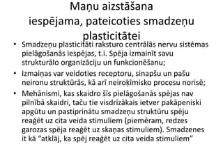 Maņu aizstāšana
iespējama, pateicoties smadzeņu
plasticitātei
• Smadzeņu plasticitāti raksturo centrālās nervu sistēmas
pielāgošanās iespējas, t.i. Spēja izmainīt savu
strukturālo organizāciju un funkcionēšanu;
• Izmaiņas var veidoties receptoru, sinapšu un pašu
neironu struktūrās, kā arī neiroķīmisko procesu norisē;
• Mehānismi, kas skaidro šīs pielāgošanās spējas nav
pilnībā skaidri, taču tie visdrīzākais ietver pakāpeniski
apgūtu un pastiprinātu smadzeņu struktūru spēju
reaģēt uz cita veida stimuliem (piemēram, redzes
garozas spēja reaģēt uz skaņas stimuliem). Smadzenes
it kā “atklāj, ka spēj reaģēt uz cita veida stimuliem”
 