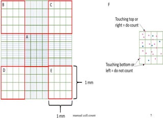 Cell Count Example manual cell count.pdf