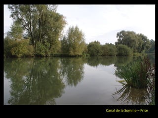 Canal de la Somme – Frise
 