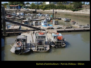 Bachots d’ostréiculteurs – Port du Château – Oléron
 