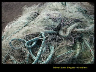 Trémail et ses élingues – Gravelines
 