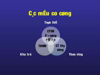 C¸c mÉu co cøng
Toµn thÓ
Theo vïngKhu tró
CTSN
X¬ cøng
r¶i r¸c
TBMN CT tñy
sèng
 
