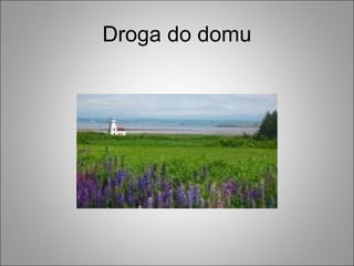 Droga do domu
 