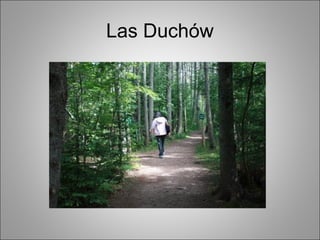 Las Duchów
 
