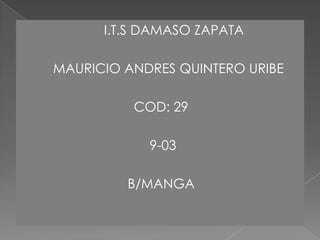        I.T.S DAMASO ZAPATA    MAURICIO ANDRES QUINTERO URIBE COD: 29 9-03 B/MANGA  