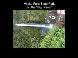 Akaka Falls State Park on the “Big Island” 