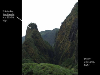 This is the ‘ Iao Needle . It is 2250 ft high. Pretty awesome, huh? 