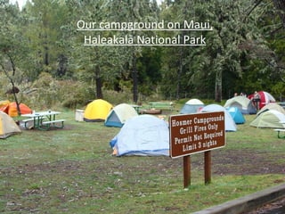Our campground on Maui, Haleakalā National Park 
