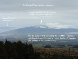The island of Maui has  two  volcanoes. This flat piece of land connecting the two Maui volcanoes is called the  Isthmus …it formed from lava flowing off Haleakalā (the younger of the two volcanoes). Island of Moloka’i in the distance This picture shows the  West Maui  volcano, the older of the two. 