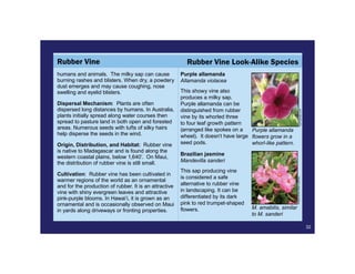 Maui Early Detection Field Guide | PDF