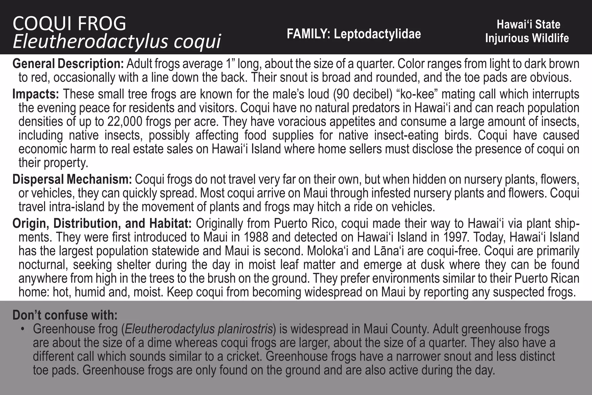 COQUI FROG                                              FAMILY: Leptodactylidae
                                                                                                   Hawai‘i State
Eleutherodactylus coqui                                                                         Injurious Wildlife

General Description: Adult frogs average 1” long, about the size of a quarter. Color ranges from light to dark brown
 to red, occasionally with a line down the back. Their snout is broad and rounded, and the toe pads are obvious.
Impacts: These small tree frogs are known for the male’s loud (90 decibel) “ko-kee” mating call which interrupts
 the evening peace for residents and visitors. Coqui have no natural predators in Hawai‘i and can reach population
 densities of up to 22,000 frogs per acre. They have voracious appetites and consume a large amount of insects,
 including native insects, possibly affecting food supplies for native insect-eating birds. Coqui have caused
 economic harm to real estate sales on Hawai‘i Island where home sellers must disclose the presence of coqui on
 their property.
Dispersal Mechanism: Coqui frogs do not travel very far on their own, but when hidden on nursery plants, flowers,
 or vehicles, they can quickly spread. Most coqui arrive on Maui through infested nursery plants and flowers. Coqui
 travel intra-island by the movement of plants and frogs may hitch a ride on vehicles.
Origin, Distribution, and Habitat: Originally from Puerto Rico, coqui made their way to Hawai‘i via plant ship-
 ments. They were first introduced to Maui in 1988 and detected on Hawai‘i Island in 1997. Today, Hawai‘i Island
 has the largest population statewide and Maui is second. Moloka‘i and Lāna‘i are coqui-free. Coqui are primarily
 nocturnal, seeking shelter during the day in moist leaf matter and emerge at dusk where they can be found
 anywhere from high in the trees to the brush on the ground. They prefer environments similar to their Puerto Rican
 home: hot, humid and, moist. Keep coqui from becoming widespread on Maui by reporting any suspected frogs.
Don’t confuse with:
 • Greenhouse frog (Eleutherodactylus planirostris) is widespread in Maui County. Adult greenhouse frogs
   are about the size of a dime whereas coqui frogs are larger, about the size of a quarter. They also have a
   different call which sounds similar to a cricket. Greenhouse frogs have a narrower snout and less distinct
   toe pads. Greenhouse frogs are only found on the ground and are also active during the day.
 