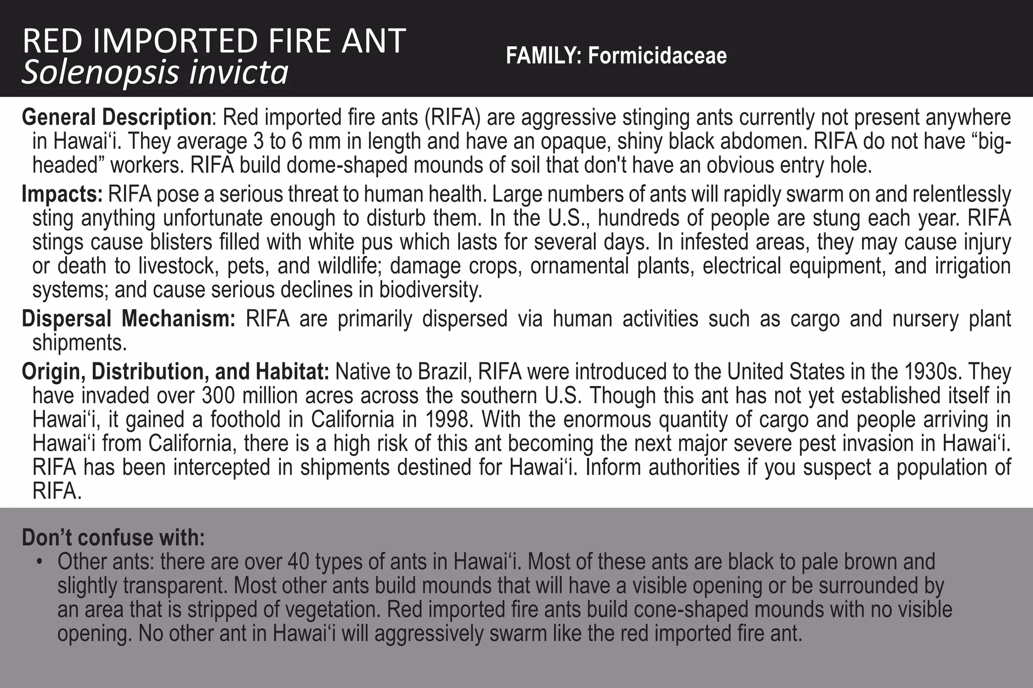 RED IMPORTED FIRE ANT                                   FAMILY: Formicidaceae
Solenopsis invicta
General Description: Red imported fire ants (RIFA) are aggressive stinging ants currently not present anywhere
 in Hawai‘i. They average 3 to 6 mm in length and have an opaque, shiny black abdomen. RIFA do not have “big-
 headed” workers. RIFA build dome-shaped mounds of soil that don't have an obvious entry hole.
Impacts: RIFA pose a serious threat to human health. Large numbers of ants will rapidly swarm on and relentlessly
 sting anything unfortunate enough to disturb them. In the U.S., hundreds of people are stung each year. RIFA
 stings cause blisters filled with white pus which lasts for several days. In infested areas, they may cause injury
 or death to livestock, pets, and wildlife; damage crops, ornamental plants, electrical equipment, and irrigation
 systems; and cause serious declines in biodiversity.
Dispersal Mechanism: RIFA are primarily dispersed via human activities such as cargo and nursery plant
 shipments.
Origin, Distribution, and Habitat: Native to Brazil, RIFA were introduced to the United States in the 1930s. They
 have invaded over 300 million acres across the southern U.S. Though this ant has not yet established itself in
 Hawai‘i, it gained a foothold in California in 1998. With the enormous quantity of cargo and people arriving in
 Hawai‘i from California, there is a high risk of this ant becoming the next major severe pest invasion in Hawai‘i.
 RIFA has been intercepted in shipments destined for Hawai‘i. Inform authorities if you suspect a population of
 RIFA.
Don’t confuse with:
 • Other ants: there are over 40 types of ants in Hawai‘i. Most of these ants are black to pale brown and
   slightly transparent. Most other ants build mounds that will have a visible opening or be surrounded by
   an area that is stripped of vegetation. Red imported fire ants build cone-shaped mounds with no visible
   opening. No other ant in Hawai‘i will aggressively swarm like the red imported fire ant.
 