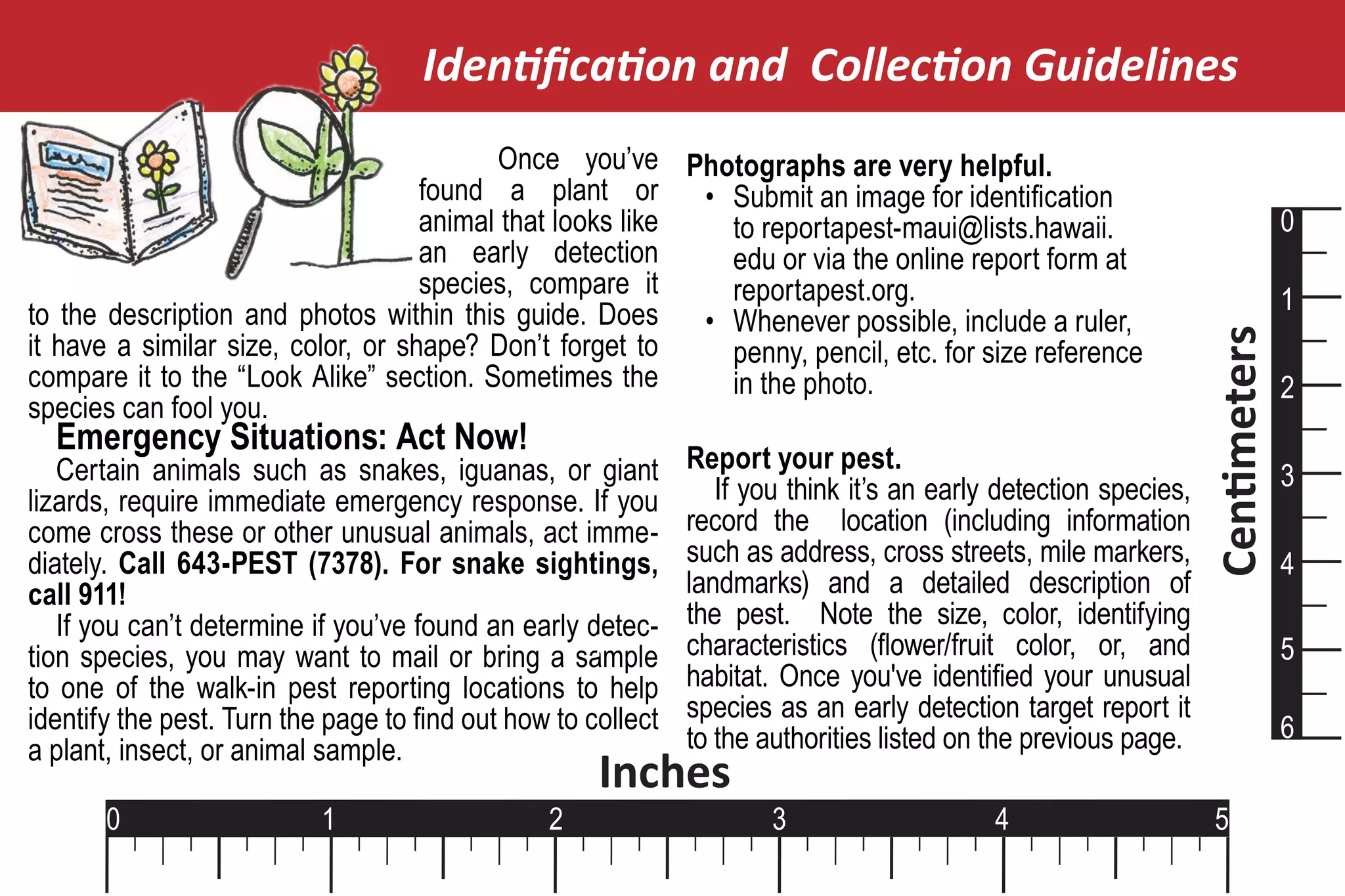 Identification and Collection Guidelines
                                          Once you’ve Photographs are very helpful.
                                    found a plant or       • Submit an image for identification
                                    animal that looks like   to reportapest-maui@lists.hawaii.                                 0
                                    an early detection       edu or via the online report form at
                                    species, compare it      reportapest.org.
to the description and photos within this guide. Does                                                                          1
                                                           • Whenever possible, include a ruler,
it have a similar size, color, or shape? Don’t forget to




                                                                                                                 Centimeters
                                                             penny, pencil, etc. for size reference
compare it to the “Look Alike” section. Sometimes the        in the photo.                                                     2
species can fool you.
  Emergency Situations: Act Now!
   Certain animals such as snakes, iguanas, or giant          Report your pest.
                                                                 If you think it’s an early detection species,                 3
lizards, require immediate emergency response. If you
come cross these or other unusual animals, act imme-          record the location (including information
diately. Call 643-PEST (7378). For snake sightings,           such as address, cross streets, mile markers,                    4
call 911!                                                     landmarks) and a detailed description of
   If you can’t determine if you’ve found an early detec-     the pest. Note the size, color, identifying
tion species, you may want to mail or bring a sample1         characteristics (flower/fruit color, or, and                     5
to one of the walk-in pest reporting locations to help        habitat. Once you've identified your unusual
identify the pest. Turn the page to find out how to collect   species as an early detection target report it
                                                              to the authorities listed on the previous page.                  6
a plant, insect, or animal sample.
                                                     Inches
       0                   1                    2                     3                    4                      5
 