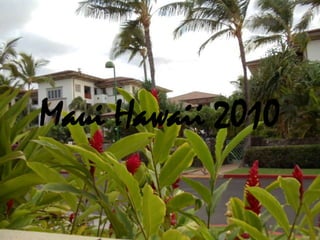 Maui Hawaii 2010,[object Object]
