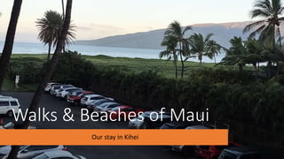 Walks & Beaches of Maui
Our stay in Kihei
 