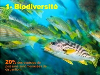 1- Biodiversité




20% des espèces de
poissons sont menacées de
disparition.
 
