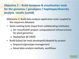 Objective 2 : Build database & visualization tools
for the genomes / genotypes / haplotype/diversity
analysis results (con...