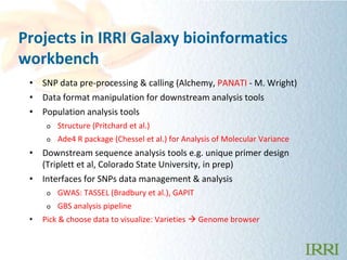 Projects in IRRI Galaxy bioinformatics
workbench
 • SNP data pre-processing & calling (Alchemy, PANATI - M. Wright)
 • Dat...