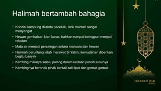 Halimah bertambah bahagia
• Kondisi kampung dilanda paceklik, terik mentari sangat
menyengat
• Hewan gembalaan kian kurus, bahkan rumput keringpun menjadi
rebutan
• Mata air menjadi persaingan antara manusia dan hewan
• Halimah beruntung telah merawat Si Yatim, kemudahan diberikan
begitu banyak
• Kambing miliknya selalu pulang dalam kedaan penuh susunya
• Kambingnya beranak pinak berkali kali lipat dan gemuk gemuk
 