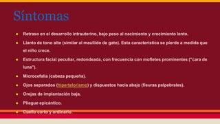 Síntomas 
● Retraso en el desarrollo intrauterino, bajo peso al nacimiento y crecimiento lento. 
● Llanto de tono alto (similar al maullido de gato). Esta característica se pierde a medida que 
el niño crece. 
● Estructura facial peculiar, redondeada, con frecuencia con mofletes prominentes ("cara de 
luna"). 
● Microcefalia (cabeza pequeña). 
● Ojos separados (hipertelorismo) y dispuestos hacia abajo (fisuras palpebrales). 
● Orejas de implantación baja. 
● Pliegue epicántico. 
● Cuello corto y ordinario. 
 