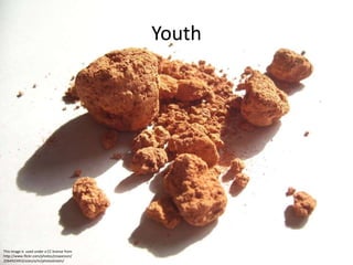 Youth
This image is used under a CC license from
http://www.flickr.com/photos/jnswanson/
2264923453/sizes/o/in/photostream/
 