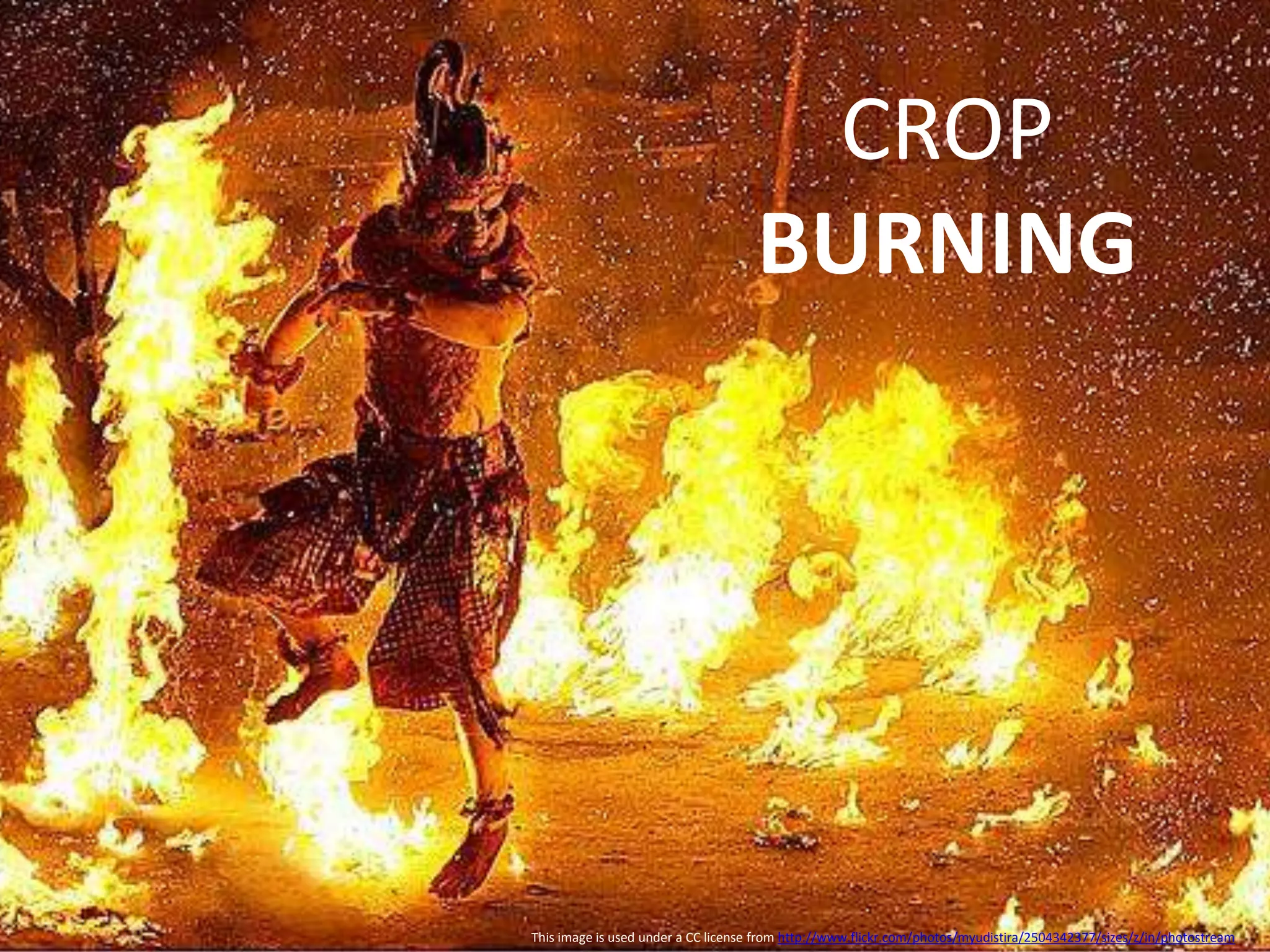 This image is used under a CC license from http://www.flickr.com/photos/myudistira/2504342377/sizes/z/in/photostream
CROP
BURNING
 