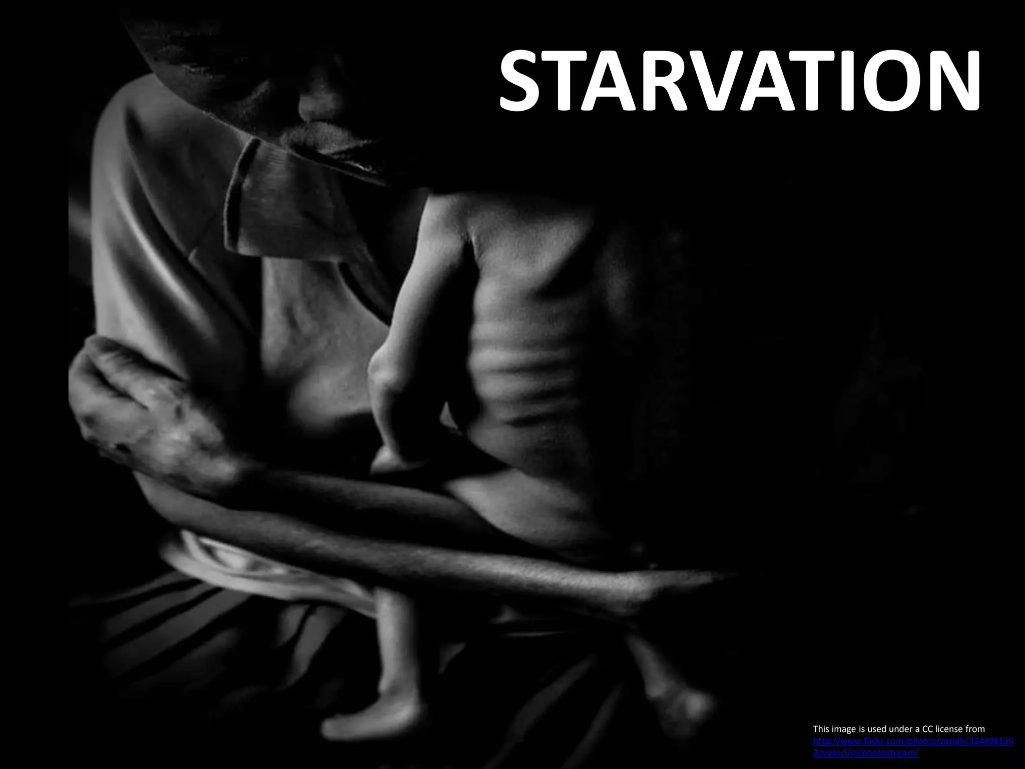 This image is used under a CC license from
http://www.flickr.com/photos/zoriah/324498135
2/sizes/l/in/photostream/
STARVATION
 