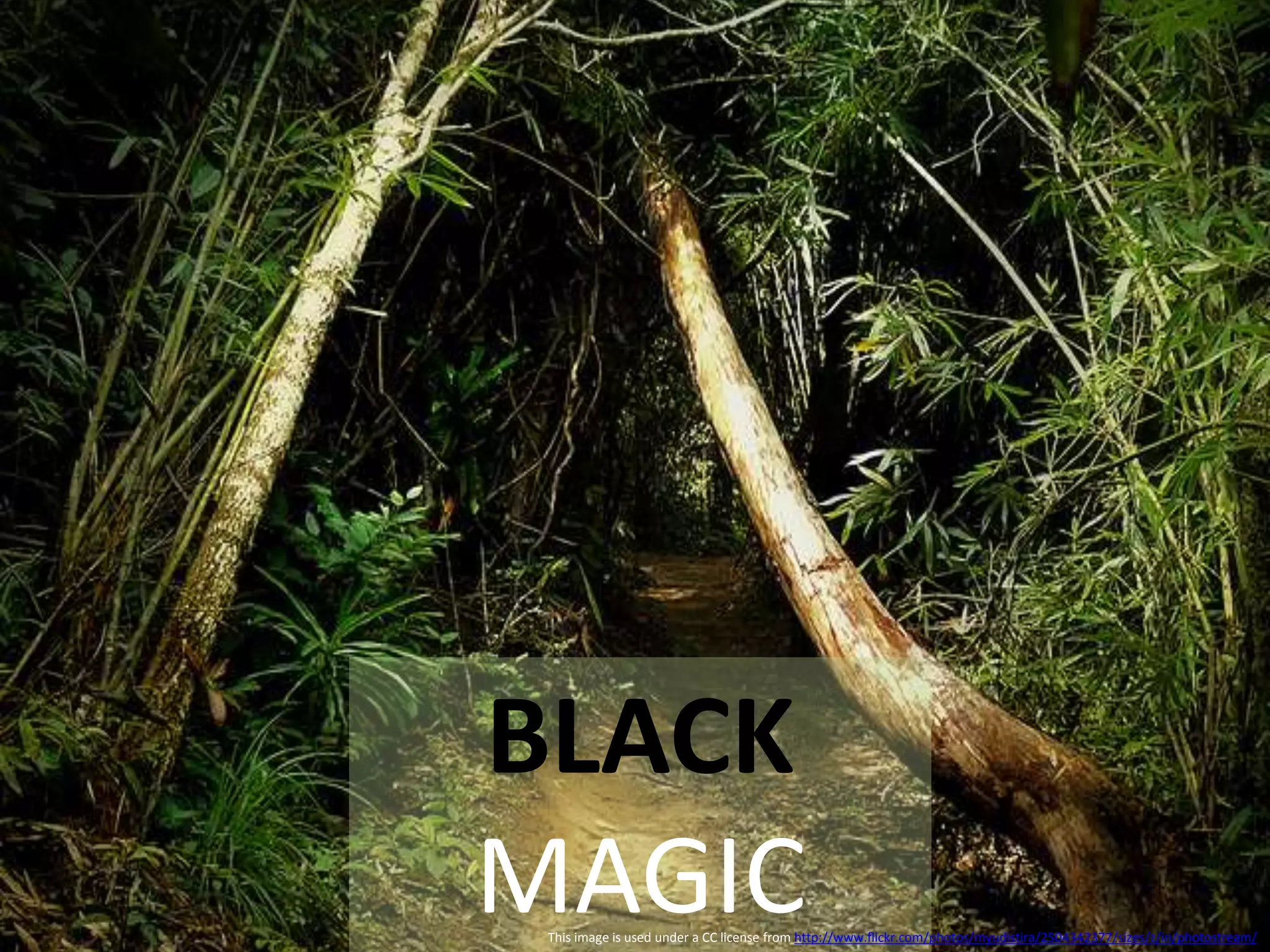 BLACK
MAGICThis image is used under a CC license from http://www.flickr.com/photos/myudistira/2504342377/sizes/z/in/photostream/
 