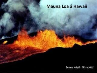 Mauna Loa á Hawaii




        Selma Kristín Gísladóttir
 